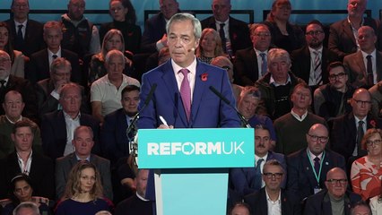 Farage: BBC has 'gone mad on DEI'