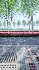 Air Susu Dibalas Air Tuba | My Kindness Is Rewarded By Betrayal | Drama China | SUB INDO