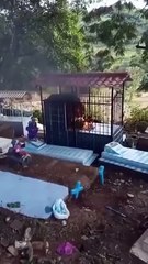 Flores de una tumba tomaron fuego inesperadamente en Tocoa, Colón