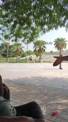 Rang Kala ho Jayga! #cricketlover #black  #cricketposition #cricket #psl