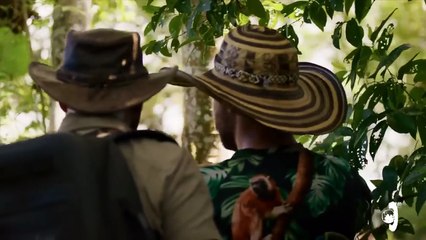 Animais Drogados 1º Temporada Trailer Original