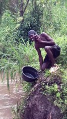 “Your Daily Dose of What’s Trending Balls Of Laughter”