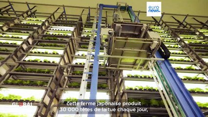 Japon : des innovations technologiques pour répondre aux défis de sécurité alimentaire mondiale