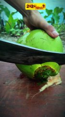 Crack Open Serenity I Cut Fresh Green Coconut — ASMR Experi