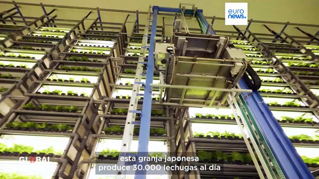 Cómo las innovaciones tecnológicas alimentarias de Japón abordan la seguridad alimentaria global