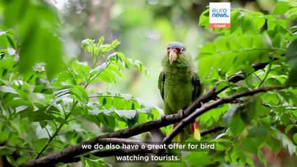 Sustainability, Gay Games, culture and cuisine: Why Valencia is worth travelling to in 2026