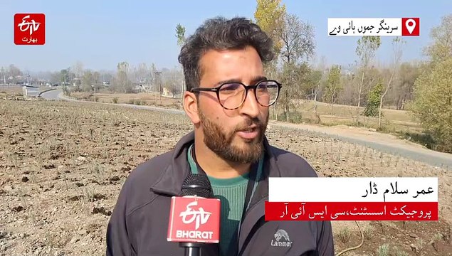 کشمیر میں ’خوشبودار سیاحت‘ کی نئی پہل؛ سرینگر جموں شاہراہ پر لیونڈر کی شجرکاری
