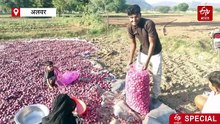 लाल प्याज : किसानों के हाथ खाली, खुदरा दुकानदारों की बल्ले-बल्ले