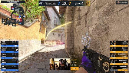 Hide Your Dogs! 🐶😂 Hilarious Pet Fails You Can't Miss!