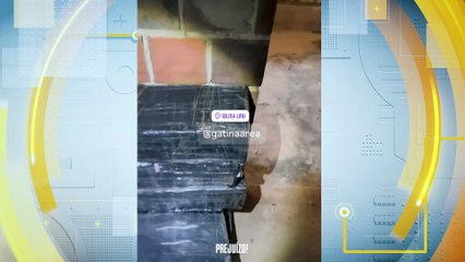 Operação policial apreende 115 quilos de maconha em Jaboatão dos Guararapes: detalhes da ação no bairro UR6