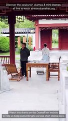 Hidden Healer Secret Wife