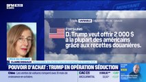 L'éco du monde : Donald Trump compte offrir 2 000 dollars à chaque Américain -10/11