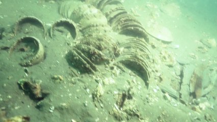 조선시대 선박 6백여 년 만에 첫 실물 인양...마도5호선 존재도 확인 / YTN