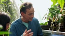 Antiques Road Trip - Season 31 Episode 5 - Way Out West