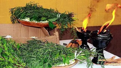 Propiedades espirituales de la ruda