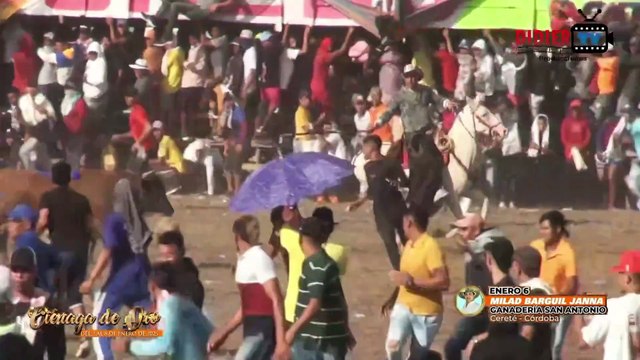 Corralejas Ciénaga de Oro 2025 | Toros de Milad Barguil