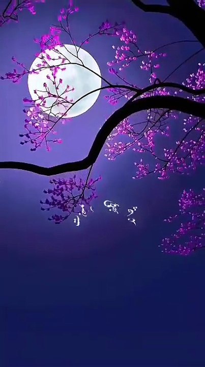 video_251110_181239