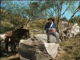 Zorro por Poderes /Serie "El Zorro"