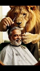 Lion Barber Giving Haircut to a Man 💈🦁 | Funniest Animal Video 2025 | Viral Comedy Shorts