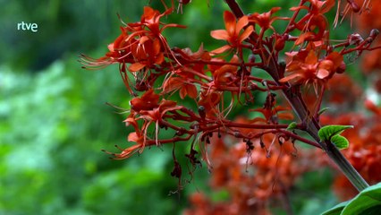 Israel. De Tierra santa al desierto del Néguev