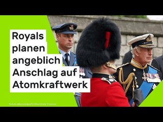 Putin-Propagandist spinnt bizarres Szenario: Royals planen angeblich Anschlag auf Atomkraftwerk