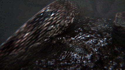 Delta Force x Metal Gear Solid Delta: Snake Eater - Official Collaboration Release Date Trailer