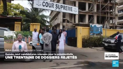 Guinée : neuf candidatures retenues pour la présidentielle