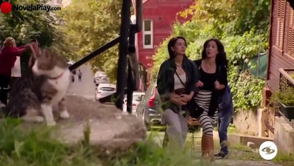 HILOS DE VIDA | CAPÍTULO 12 COMPLETO