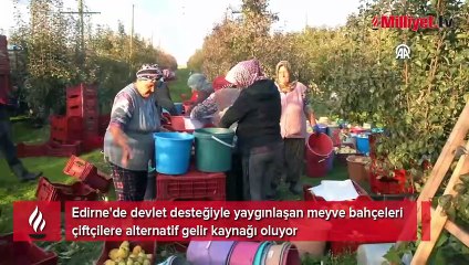 Devlet desteğiyle 21 yıl önce üretime başladılar