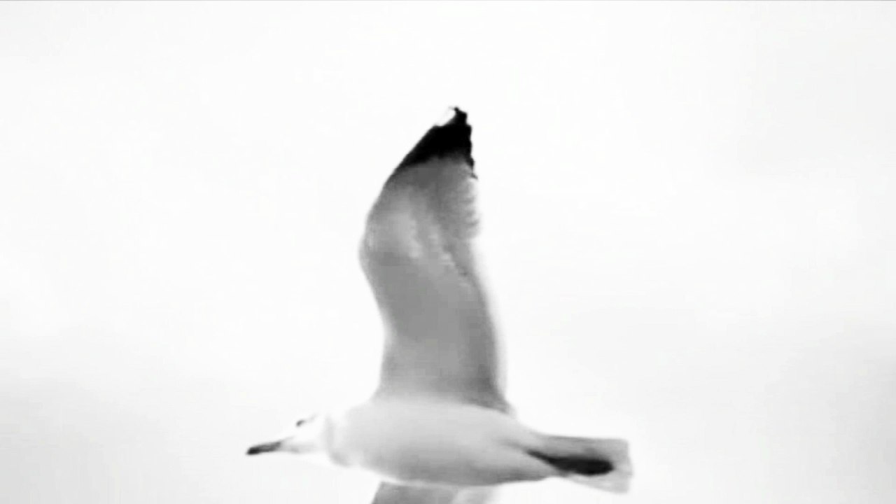 Rob Redhead - I am Sailing