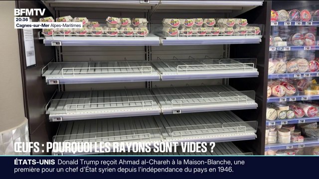 Pourquoi les œufs manquent dans les rayons ?