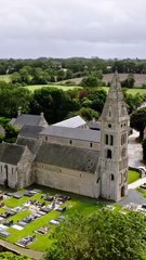 Why Rich Woman Kills Shortical