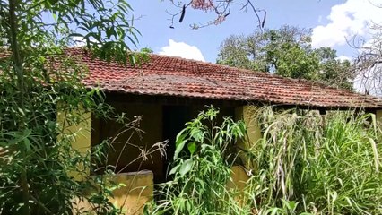 PERDIDO NA MATA, ENCONTREI 2 CASAS ABANDONADAS