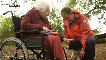 La Vida Secreta De Los Perros: Descubre Sus Misterios Ocultos