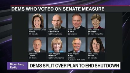 Democrats Break Ranks to Try and End Government Shutdown