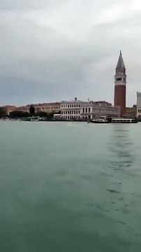 🇮🇹🐬 Un dauphin sauvage aperçu dans les eaux de Venise, près de la place Saint-Marc.