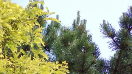 Lang Leve De Liefde S08E51 1080p 2 0 H 264