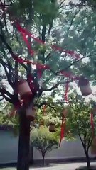 The Hidden Edge of Grace [Full]