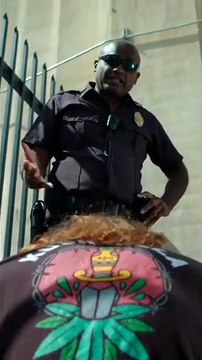 La aerolínea que no puedes elegir (ni cancelar) - MetaDato (360p, h264)