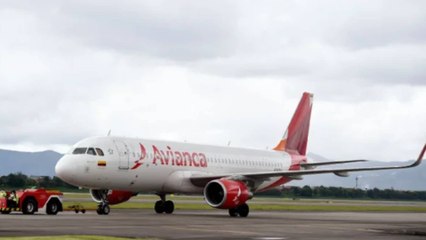 En imágenes: avión se declaró en emergencia tras impactar con un ave