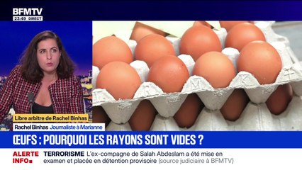 Oeufs : pourquoi les rayons sont vides ? - 10/11
