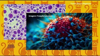 Cientistas criam versão de medicamento contra câncer 20 mil vezes mais eficaz e sem efeitos colaterais detectáveis