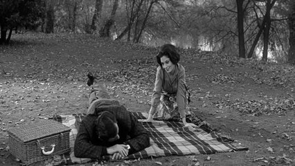 Der Fluch der Fliege (1965)