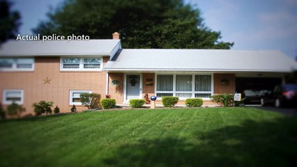 LOBO EM PELE DE CORDEIRO - O MÉDICO P3DÓFILO - T01EP04 - ID