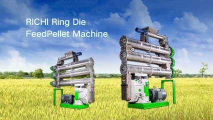 RICHI Ring Die Pellet Mill for Your Feed & Biomass Production