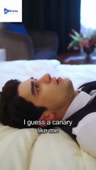 [TOP MOVIE] She’s My Wife, What Are You Pretending For? #lovestory #romance #shortdrama #dramaseries #Shortstudio