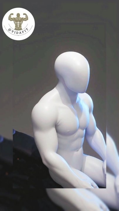 espalda 3d