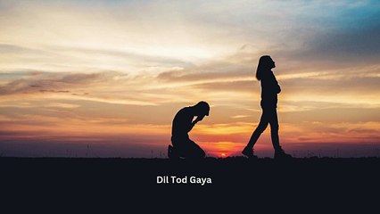Dil Tod Gaya 💔 | Hindi DJ Remix | Bewafa EDM Drop | Heartbreak Song 2025