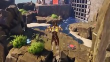 Finally, a dog parkour game