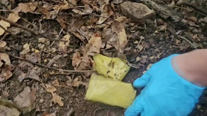 수도권에 필로폰 유통·투약한 마약사범 대거 적발 / YTN